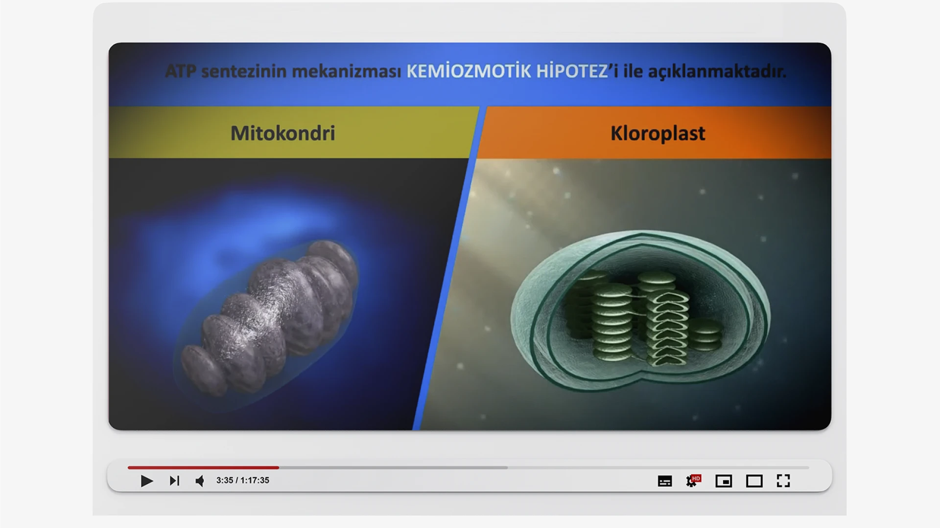 Grade 10 Biology 3D Animations project