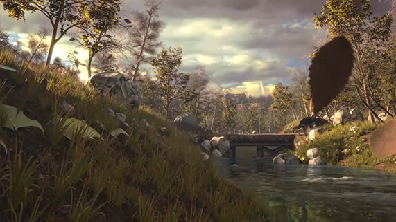 Wild Landscape